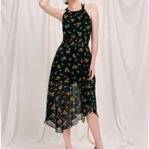 NWOT Petite Studio Dress